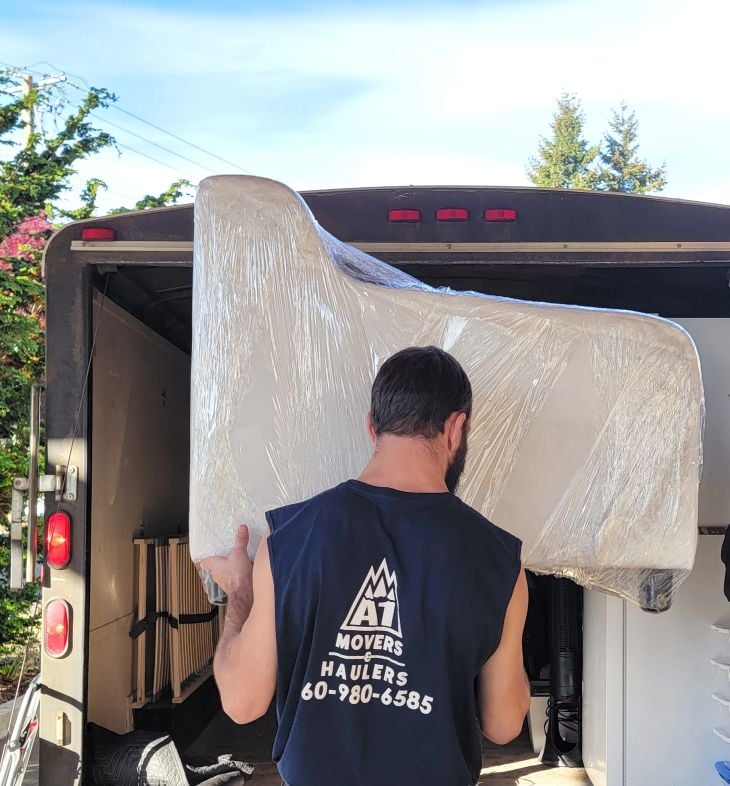 Professional Movers